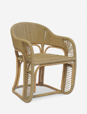Gya Indoor / Outdoor Accent Chair