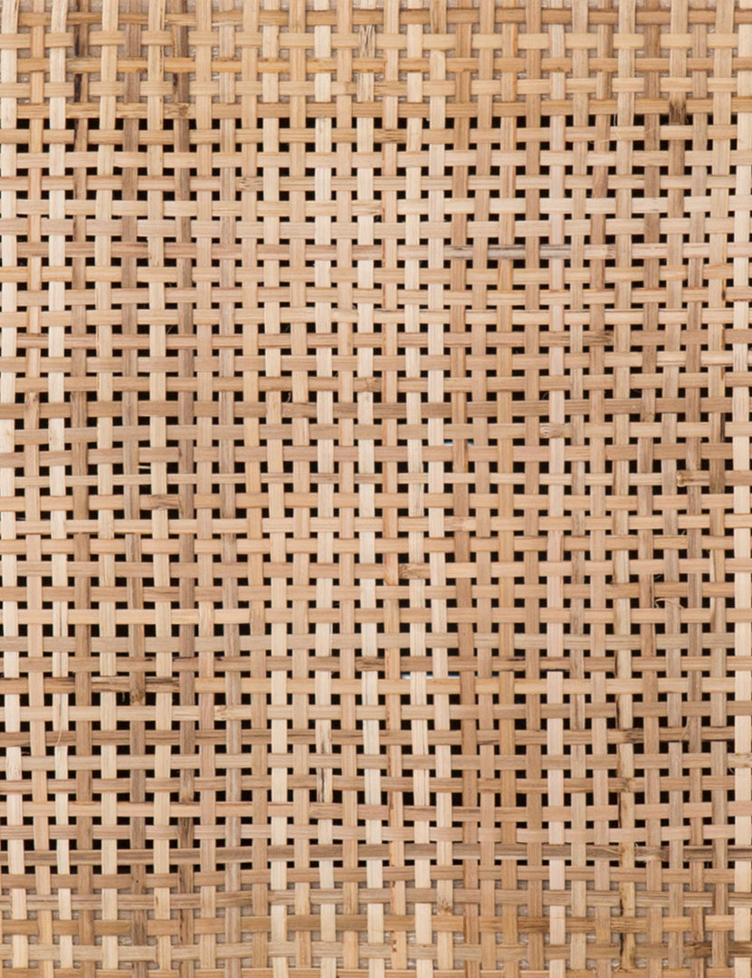 #color::natural | Detailed view of the woven cane doors on the Hannah natural mango wood media console.