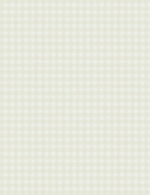 Scalamandre Lotta Wallpaper Swatch