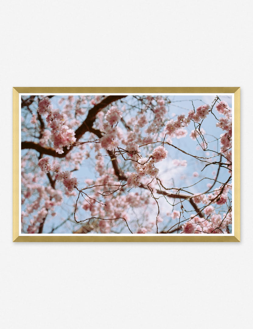 Spring Tones Photography Print