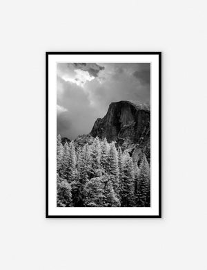 Yosemite National Park Views Photography Print