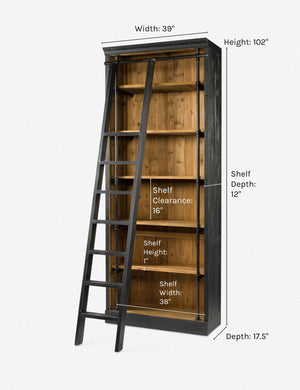 Mallory Bookcase with Ladder