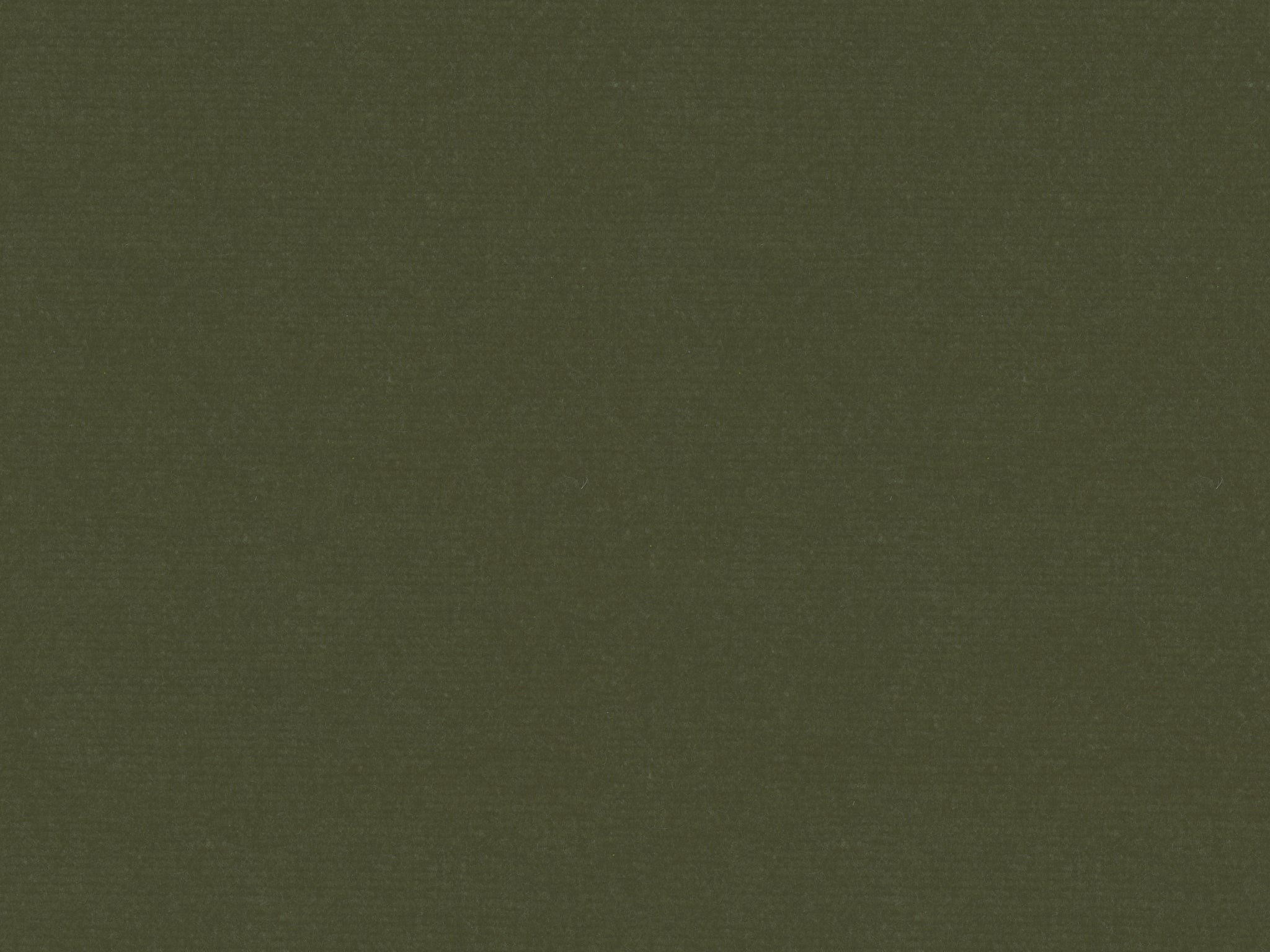 Moss Luxe Velvet Fabric Swatch