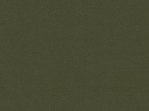 Moss Luxe Velvet Fabric Swatch