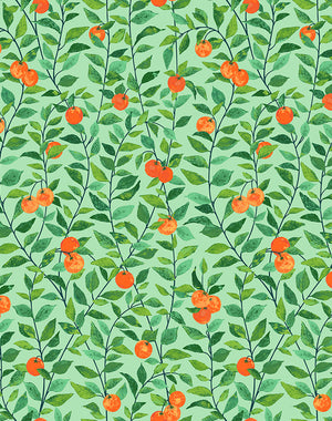 Orange Crush Peel + Stick Wallpaper by Nathan Turner, Green Swatch