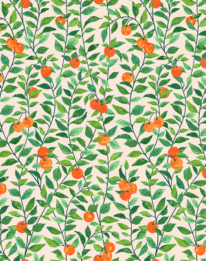 Orange Crush Peel + Stick Wallpaper by Nathan Turner, Peach Swatch
