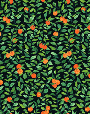 Orange Crush Wallpaper by Nathan Turner, Onyx