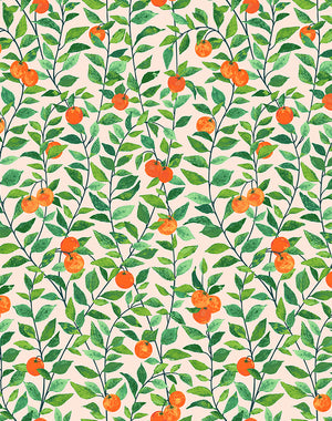 Orange Crush Wallpaper by Nathan Turner, Peach