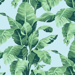 Pacifico Palm Wallpaper by Nathan Turner, Sky