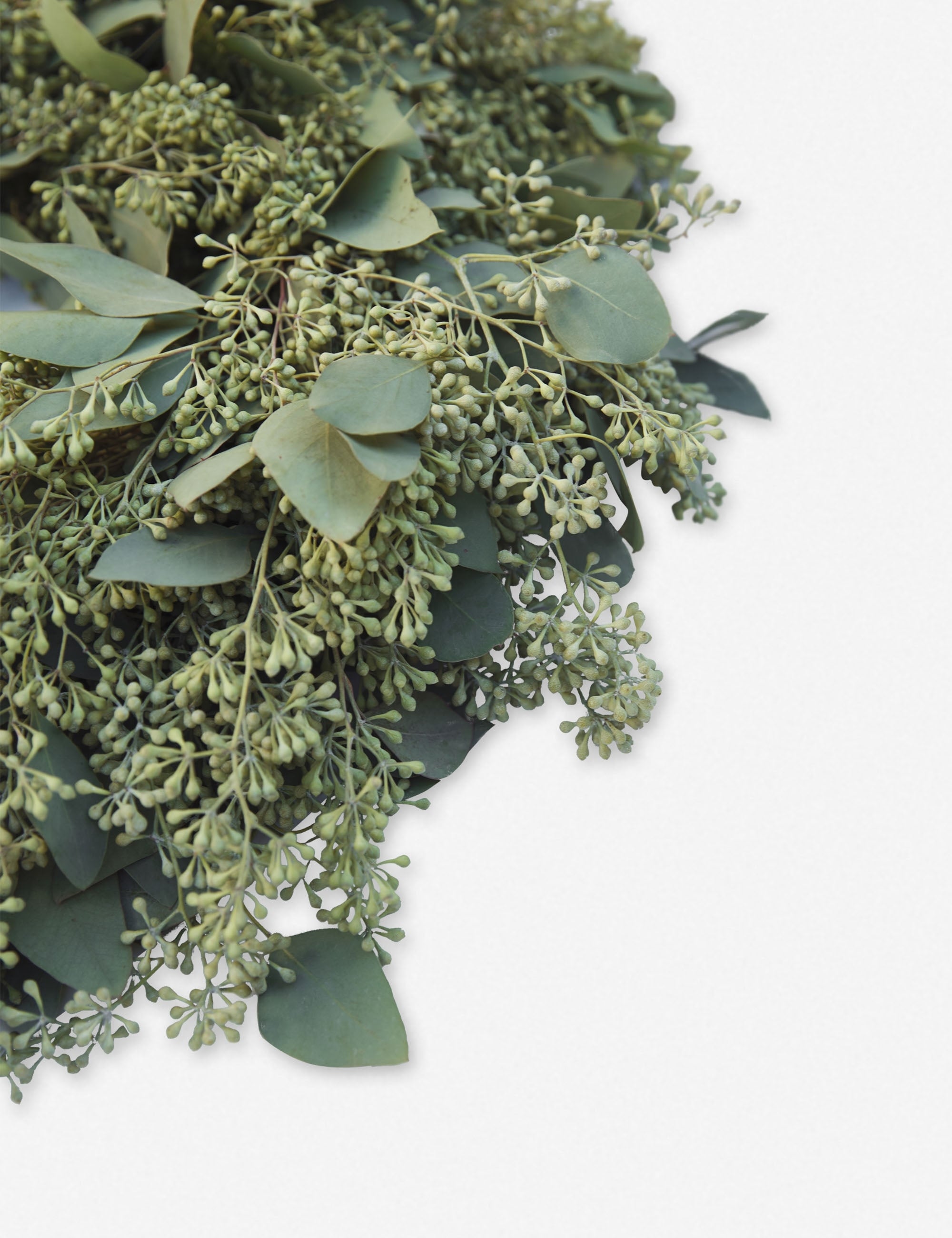 Lulu and Georgia Seeded Eucalyptus Wreath - Thumbnail 5