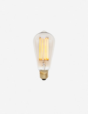 Squirrel Cage 3W LED Bulb (Set of 2) by Tala