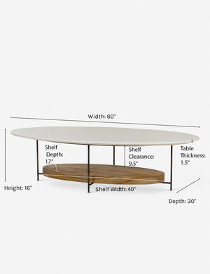 Dimensions of the Thomas Bina oval coffee table with white laquered top, oak shelf and steel frame